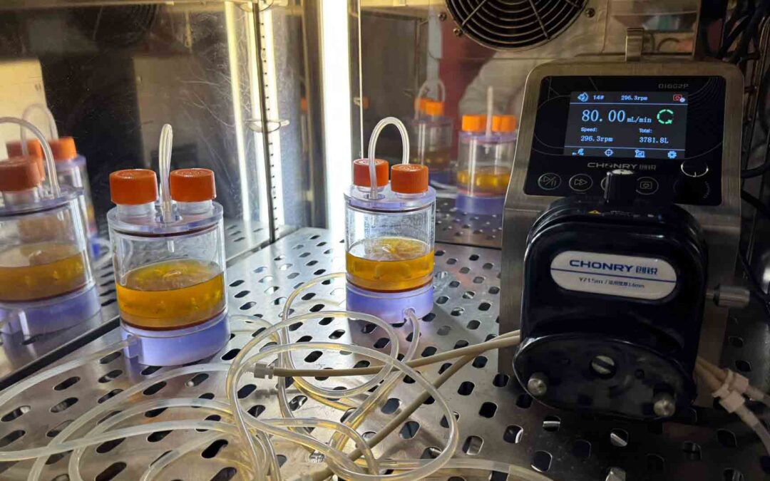 BioAxFlow adapted to the culture of marine invertebrate: contribution to the BLUES project